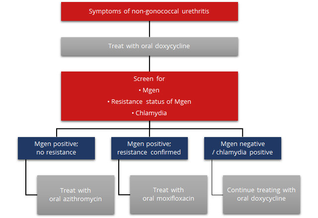 guideline2