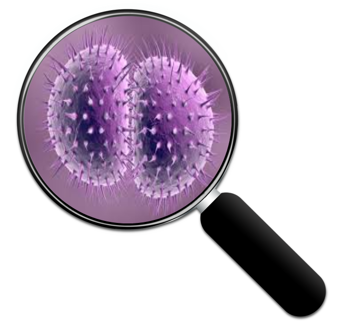 gono microscope