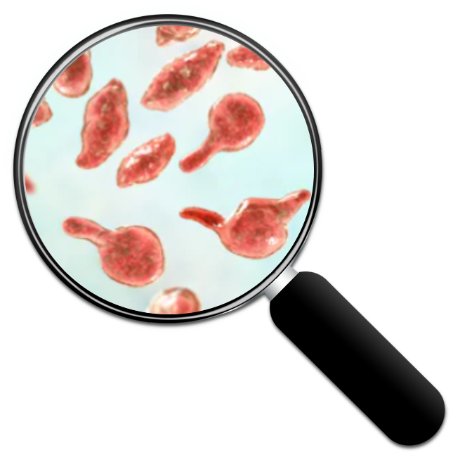 mgen magnify glass